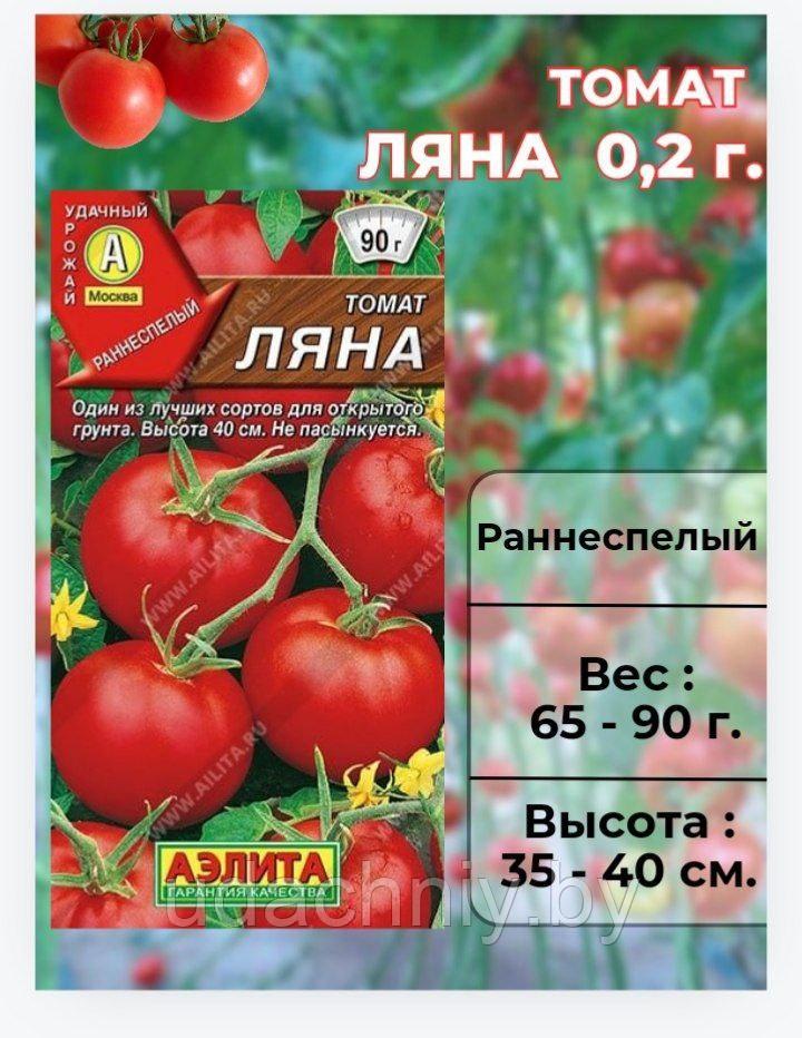 Томат Ляна. 0.2 г. "Aэлитa", Россия.