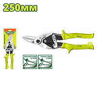 Ножницы по металлу 250 мм DYLLU DTAS1910