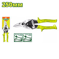 Ножницы по металлу 250 мм DYLLU DTAS3910