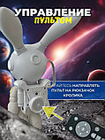 Проектор ЗВЁЗДНОГО неба КРОЛИК SPACE BUNNY НОВИНКА 2025, фото 4