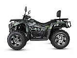 Квадроцикл MOTAX GRIZLIK 300 CC, фото 6