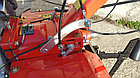 Мотоблок GRAD (8,5 л.с.) + Плуг, окучник в подарок!, фото 5