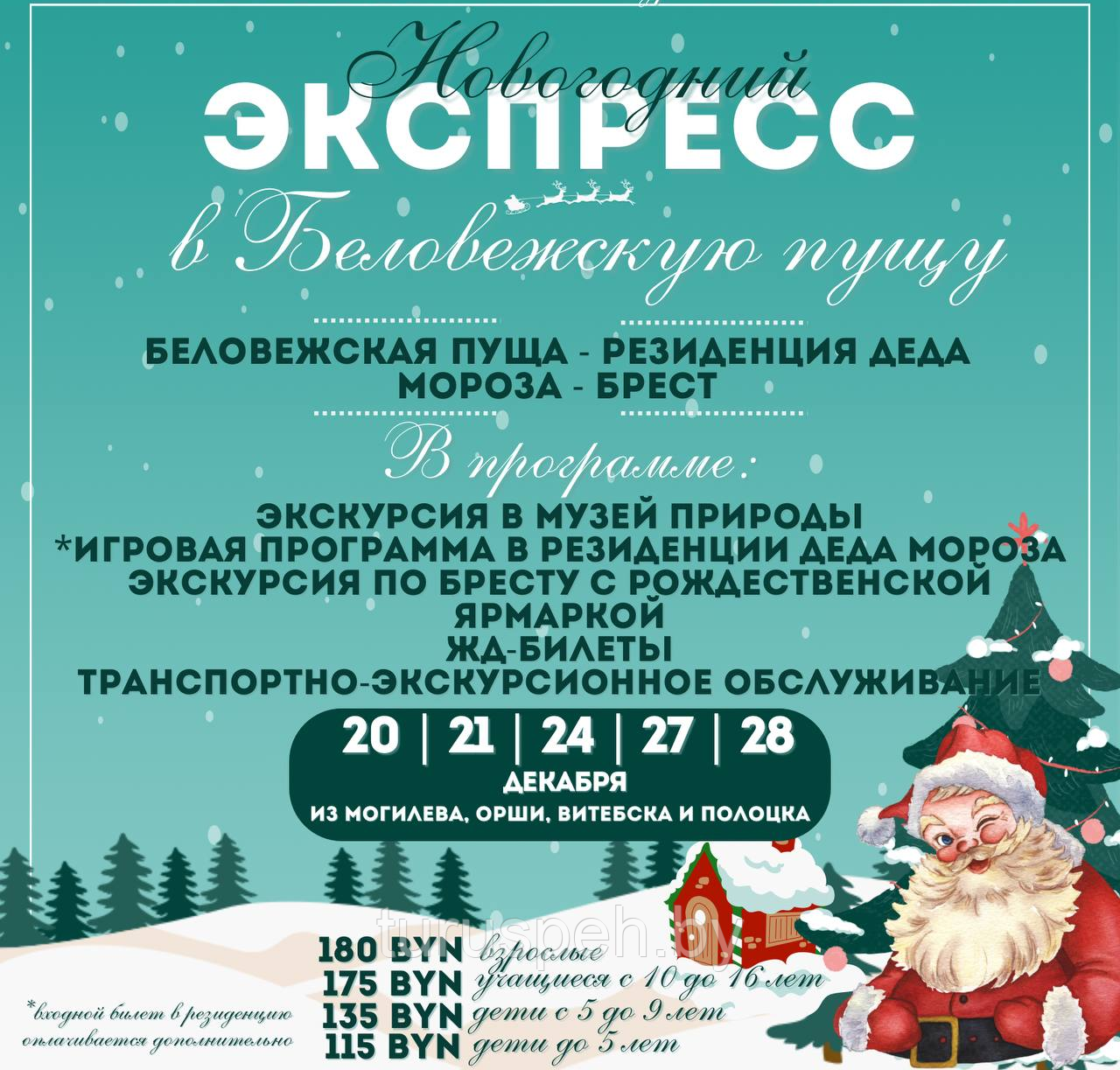 Новогодний экспресс в Беловежскую пущу ИЗ МОГИЛЕВА 2025