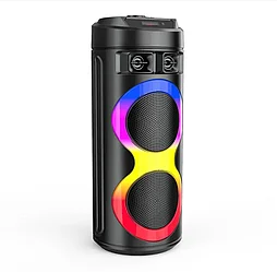Колонка BT Speaker ZQS-6220 (SZV20W/USB/FM) караоке (черный)