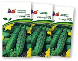Огурец СПРИНТ F1 (3 пакета по 0,5г)
