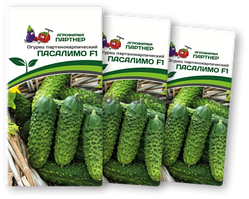 Огурец ПАСАЛИМО F1 (3 пакета по 5шт)