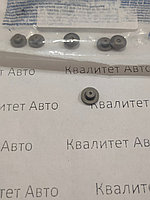 Нажимной болт (грибок) BOSCH Scania, Perkins, Valmet, KHD, Iveco, Volvo, Fiat 2433120127