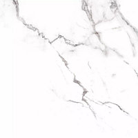 Керамогранит Prime Ceramics Carrara 600*600 Узбекистан мм