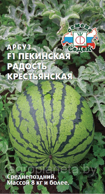 Арбуз Пекинская Радость Крестьянская F1 1г