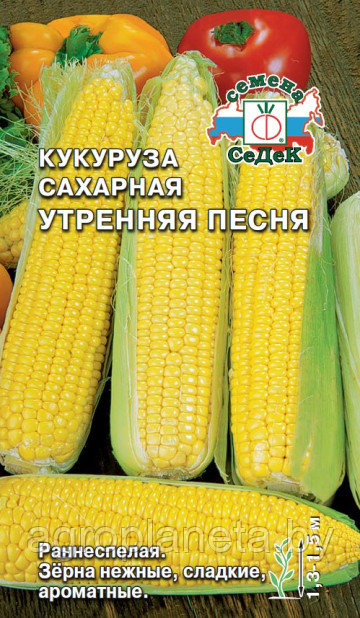 Кукуруза Утренняя Песня F1 4г