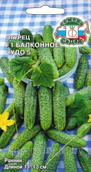 Огурец Балконное Чудо 5 F1  0.2г