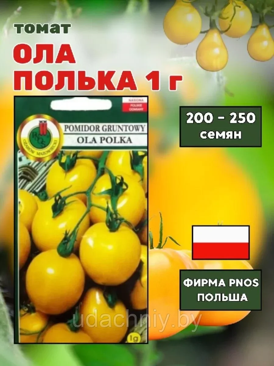 Томат Ола Полька 1 г  "PNOS", Польша.