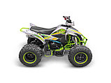Квадроцикл YACOTA TYPHOON 250, фото 4