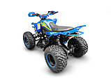 Квадроцикл YACOTA TYPHOON 250, фото 7