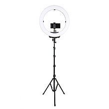 Осветитель кольцевой Falcon Eyes BeautyLight 480LS LED со стойкой
