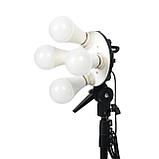 Комплект студийного оборудования Falcon Eyes KeyLight 425LED SB6080 KIT, фото 8