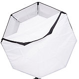 Октобокс Falcon Eyes FEA-OBII 12 BW, фото 4