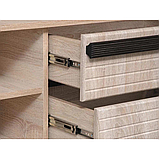 Тумба А-10 (дуб сонома /ПВХ дуб сонома светлый/профиль: Masa Decor дуб сонома/профиль:Masa Decor венге) Олмеко, фото 2