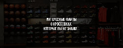 Мифы и факты о кроссовках – а вы знали?