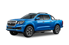Автомобильные коврики в салон и багажник для Dongfeng Rich