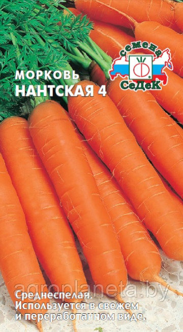 Морковь Нантская 4, 2г