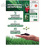 АКТАРОФИД 10г, фото 2