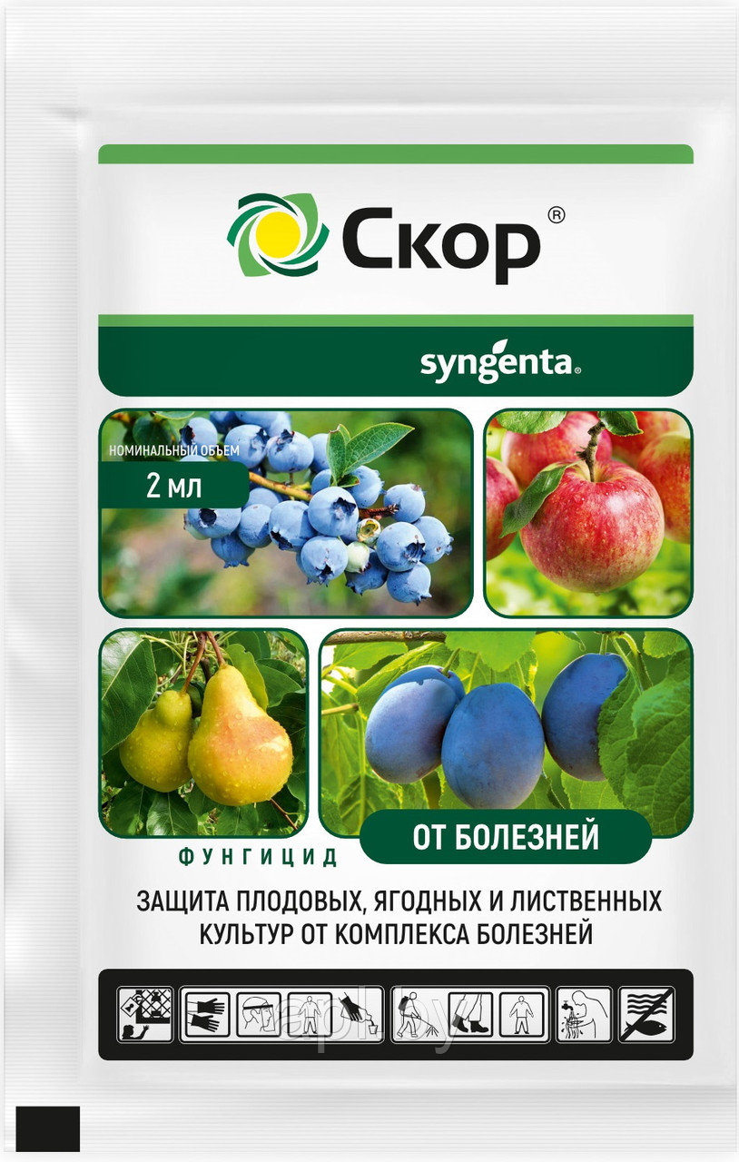 Фунгицид Скор, ампула 2г