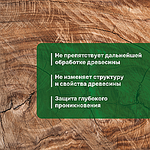 PROSEPT АНТИЖУК Антисептик против жуков и других биопоражении, готов./ 5л, фото 3