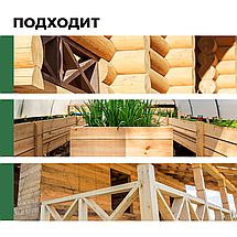 PROSEPT АНТИЖУК Антисептик против жуков и других биопоражении, готов./ 5л, фото 2