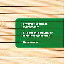 PROSEPT EXTERIOR Антисептик для наружных работ 1:19  5л, фото 3