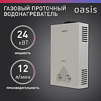 Газовый проточный водонагреватель "Oasis Eco" W-24 (24кВт, 2,4м3/час, 0,02-0,7МПа, 1300Па, 110мм)