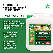 PROSEPT ULTRA Антисептик невымыв.для ответственных конструкций 1:10  5л, фото 2