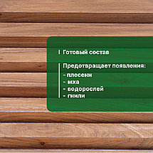 PROSEPT ULTRA Антисептик невым., КОРИЧНЕВЫЙ, концентрат 1:10 1л, фото 3