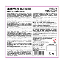 PROSEPT SALT CLEANER Удалитель высолов/очиститель фасадов 1:2, 5л, фото 3