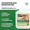 PROSEPT ECO SAUNA Антисептик для бани и сауны, гот.состав  5л, фото 2