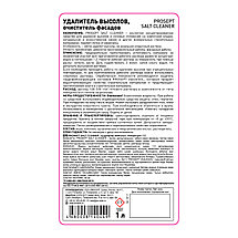 PROSEPT SALT CLEANER Удалитель высолов/очиститель фасадов 1:2, 1л, фото 3