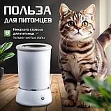 Лапамойка для собак автоматическая Pet Automatic Foot Wash Pedicure Cup W01, фото 4