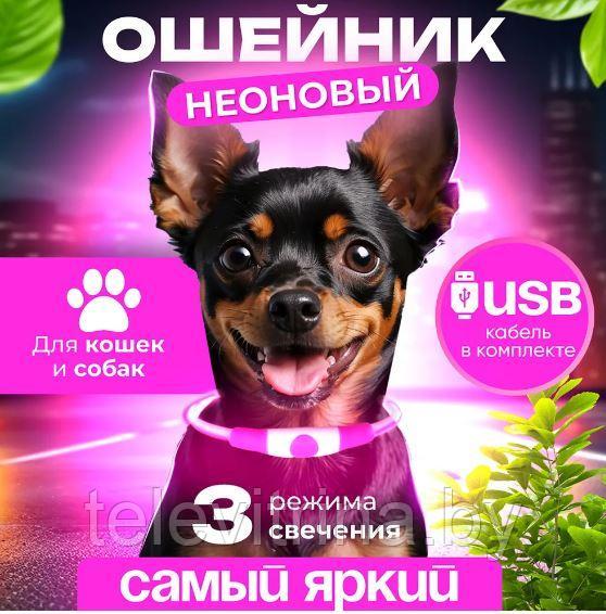 Ошейник для Собак светящийся 40см USB