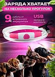 Ошейник для Собак светящийся 40см USB, фото 2