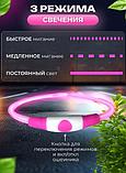 Ошейник для Собак светящийся 40см USB, фото 3