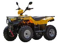 Квадроцикл IRBIS ATV200 200 LUX желтый