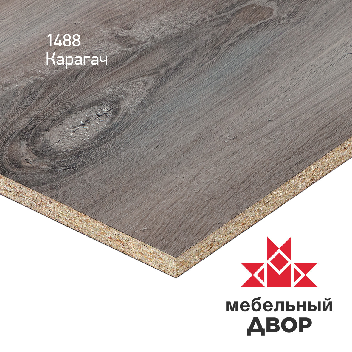 Стеновая панель FS1488 W5 Карагач