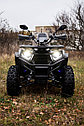 Квадроцикл AVM Hummer 200, фото 6