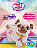 Интерактивная игрушка Zuru Pets Alive Мопс 9521, фото 3