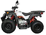 Подростковый квадроцикл KAYO AU150 CVT (ПТС), фото 2