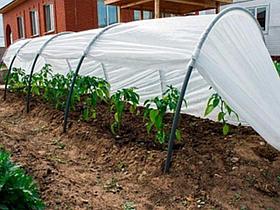 Парник "Бабушкин парничок" 6м, ОСТРОВ КОМФОРТА