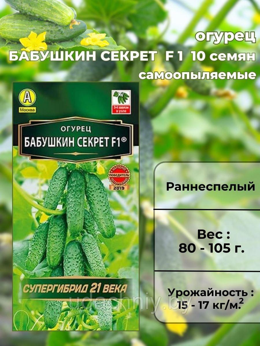 Огурец Бабушкин секрет F1. 10 шт. "Аэлита", Россия.