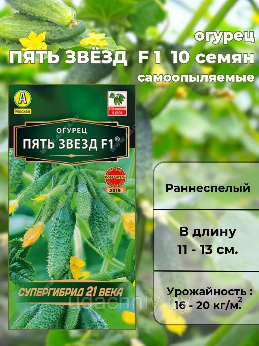 Огурец Пять звезд F1 10 шт. "Аэлита", Россия.