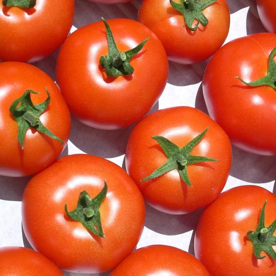 Томат "Марифет" F1 (5 шт), Голландия