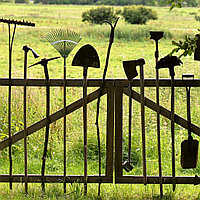 Инструменты для садового участка: что нужно для успешного сезона?